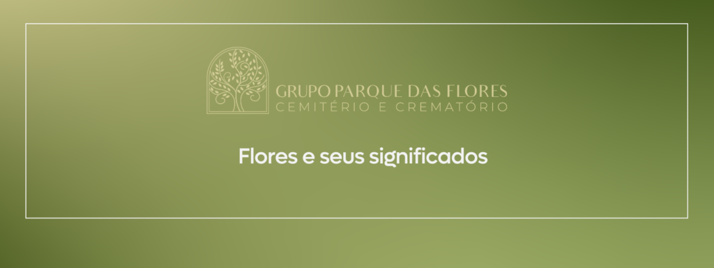 flores e seus significados banner