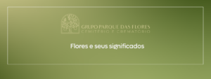 flores e seus significados banner