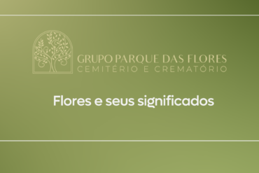 flores e seus significados banner