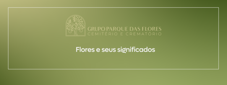 flores e seus significados banner