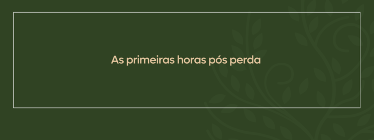 como o luto afeta o corpo